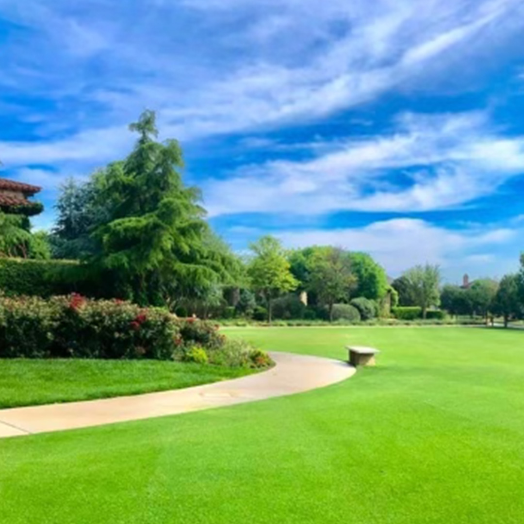 Lawn Care Lubbock TX I Landscaping, Sprinkler Installation & More